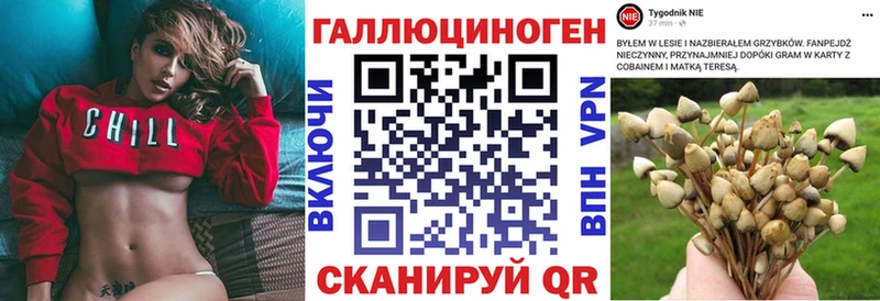 Псилоцибиновые грибы Cubensis  купить наркоту  Агрыз 
